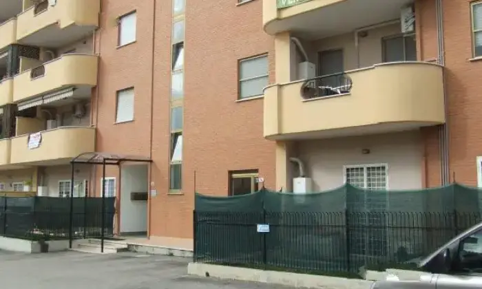 Rexer-Latina-Bilocale-arredato-con-giardino-ALTRO