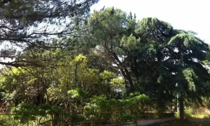 Rexer-Toritto-VILLA-a-QUASANO-GIARDINO