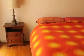 Rexer-Roma-Grazioso-bilocale-arredato-CAMERA-DA-LETTO