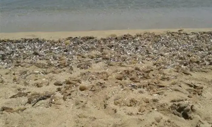 Rexer-Noto-Casa-vacanza-al-mare-ALTRO