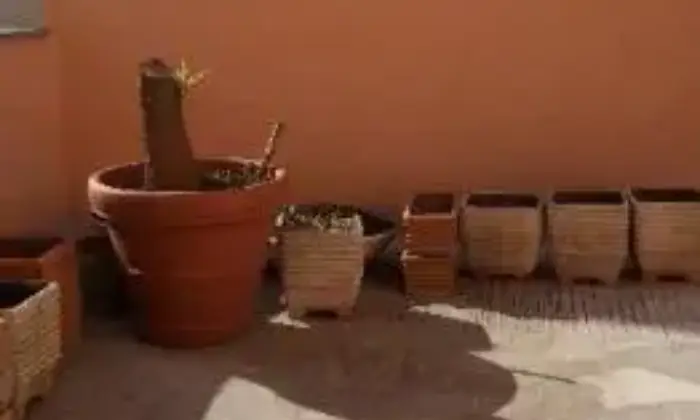 Rexer-Roma-Confortevole-trilocale-TERRAZZO