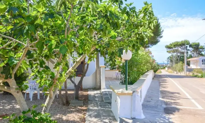 Rexer-Salve-Casa-vacanza-al-mare-ALTRO