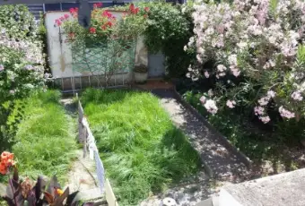 Rexer-Pisa-Camere-in-villetta-indipendente-ALTRO