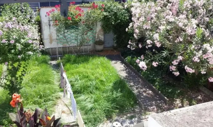 Rexer-Pisa-Camere-in-villetta-indipendente-ALTRO