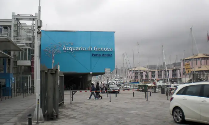 Rexer-Genova-Appartamento-in-affitto-vicino-universit-CUCINA
