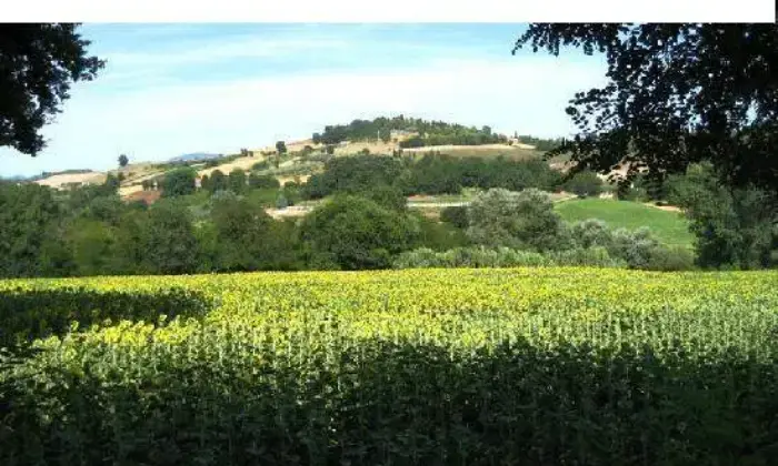 Rexer-Rieti-Terreno-agricolo-GIARDINO