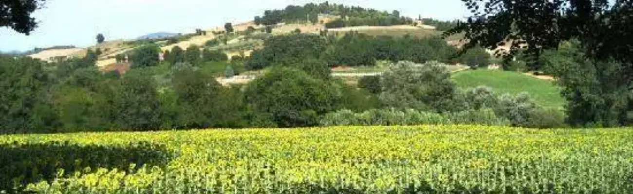Rexer-Rieti-Terreno-agricolo-GIARDINO