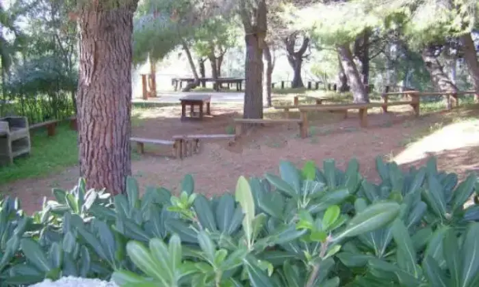Rexer-Falerna-Affitto-di-trilocale-in-contrada-Petraro-Falerna-GIARDINO