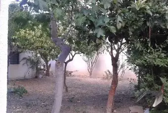Rexer-Bovalino-Villetta-arredata-con-giardino-GIARDINO