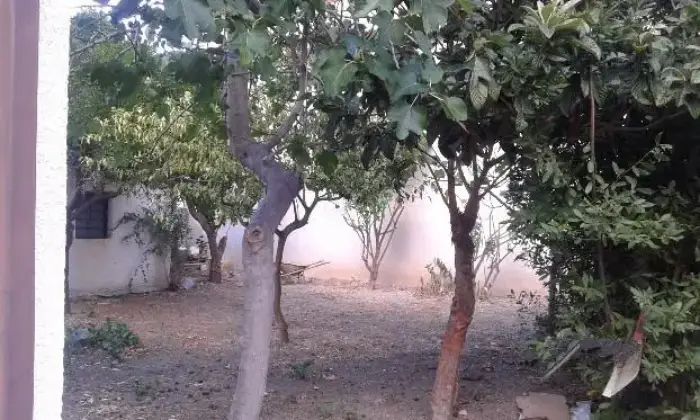 Rexer-Bovalino-Villetta-arredata-con-giardino-GIARDINO