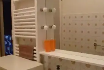 Rexer-Lucoli-Trilocale-arredato-BAGNO