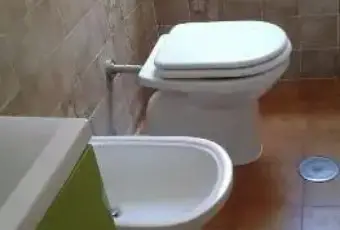 Rexer-Segni-Bilocale-ristrutturato-BAGNO
