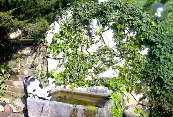 Rexer-Manziana-Elegante-villa-nel-verde-GIARDINO