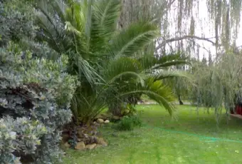 Rexer-Manziana-Elegante-villa-nel-verde-GIARDINO