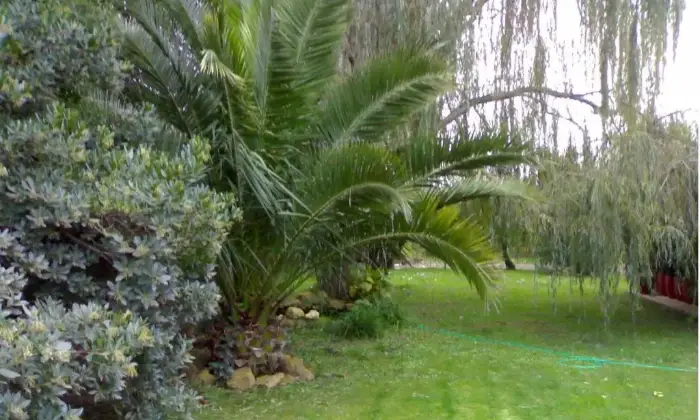 Rexer-Manziana-Elegante-villa-nel-verde-GIARDINO