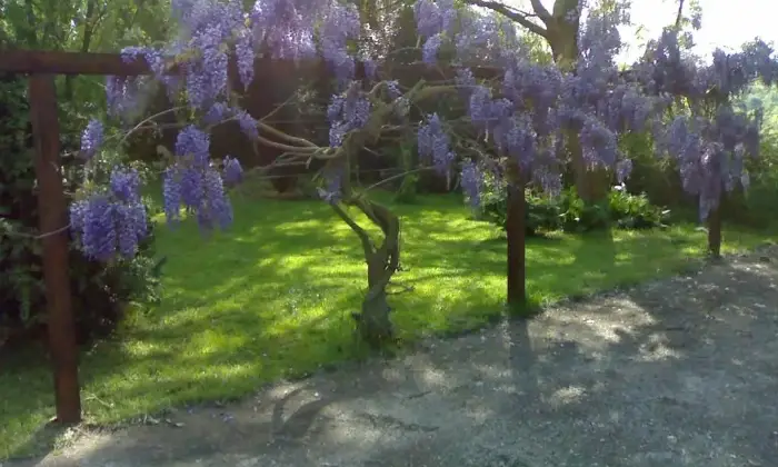 Rexer-Manziana-Elegante-villa-nel-verde-GIARDINO