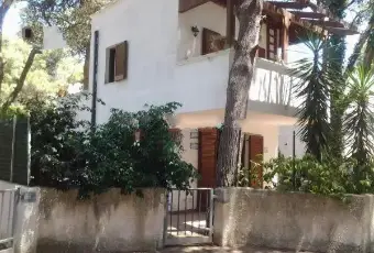 Rexer-Pulsano-Villetta-indipendente-ALTRO