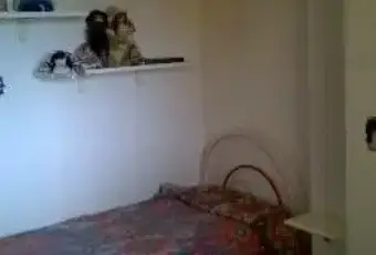 Rexer-Ancona-Quadrilocale-per-studenti-CAMERA-DA-LETTO