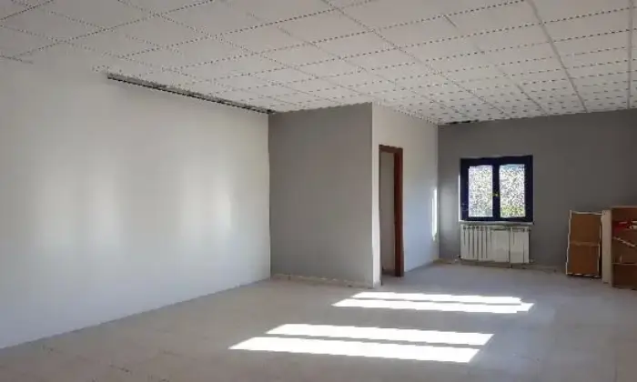 Rexer-Urbino-Ufficio-nuovo-ALTRO