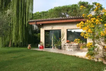 Rexer-Francavilla-al-Mare-Camera-in-villa-GIARDINO