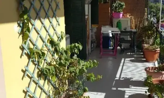 Rexer-Calvizzano-LOCASI-APPARTAMENTO-ALTRO