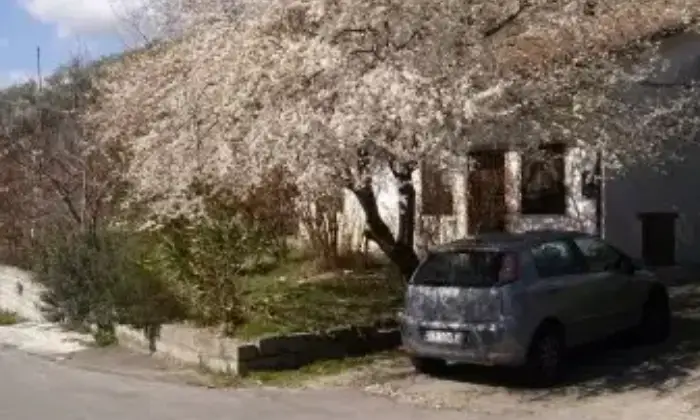 Rexer-Molinara-Casa-con-terreno-Strada-Provinciale-Bivio-CaliseCesine-Molinara-ALTRO