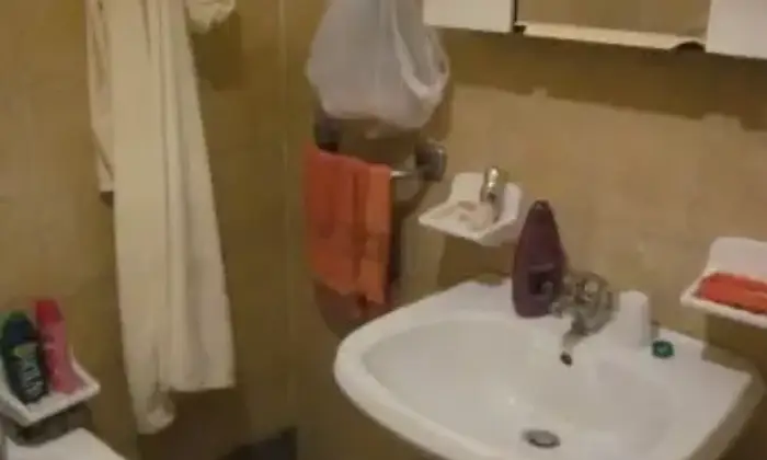 Rexer-Molinara-Casa-con-terreno-Strada-Provinciale-Bivio-CaliseCesine-Molinara-BAGNO