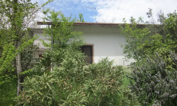 Rexer-Molinara-Casa-con-terreno-Strada-Provinciale-Bivio-CaliseCesine-Molinara-Altro
