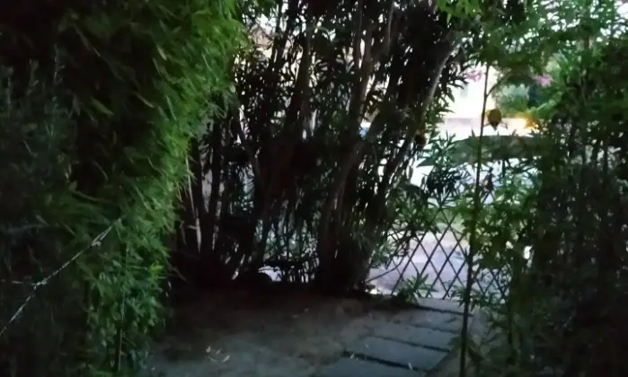Rexer-Cascina-Porzione-di-terratetto-Giardino