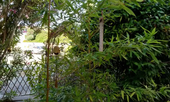 Rexer-Cascina-Porzione-di-terratetto-Giardino