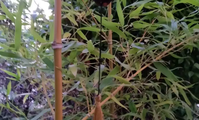 Rexer-Cascina-Porzione-di-terratetto-Giardino
