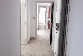 Rexer-Catania-Via-delle-Zagare-Corso-Italia-ALTRO