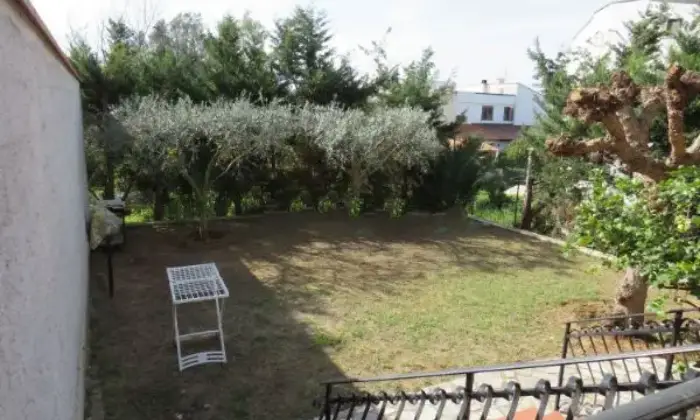Rexer-Terrasini-Affitto-di-villa-in-via-dei-Greci-snc-Terrasini-GIARDINO