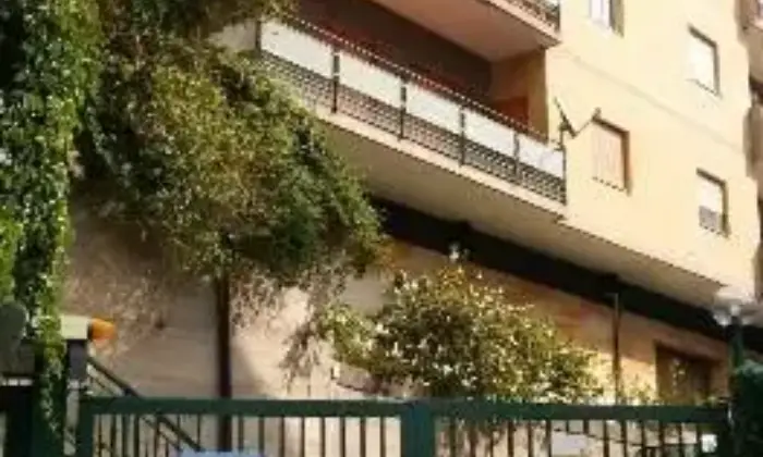 Rexer-Messina-Viale-dei-Tigli-pentavani-ALTRO