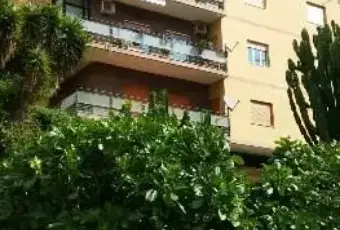 Rexer-Messina-Viale-dei-Tigli-pentavani-ALTRO