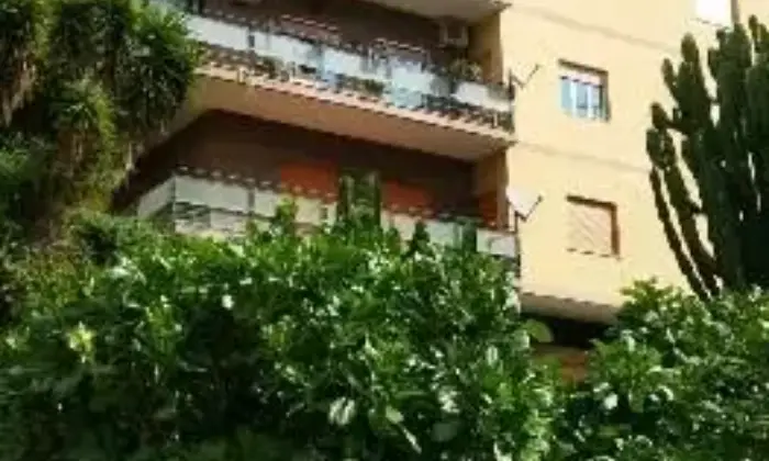 Rexer-Messina-Viale-dei-Tigli-pentavani-ALTRO