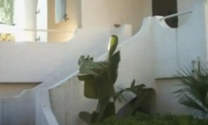 Rexer-Augusta-Villa-al-mare-costa-saracena-a-m-dal-mare-ALTRO