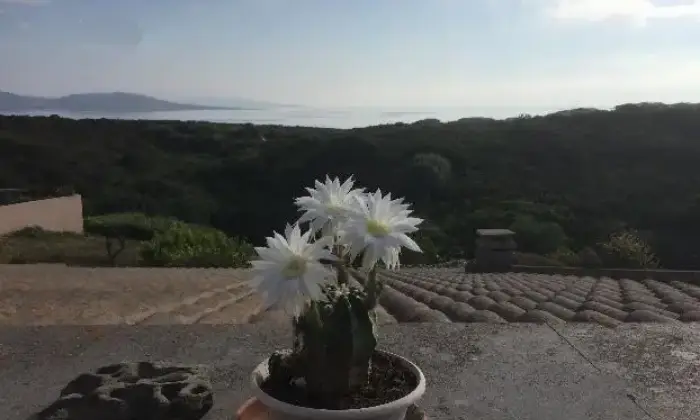 Rexer-Stintino-Bilocale-meraviglioso-vista-mare-ALTRO