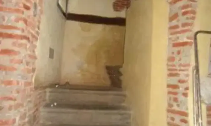 Rexer-Vicopisano-Casalecascina-su-due-piani-con-terreno-ALTRO