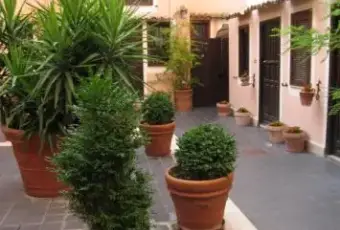 Rexer-Roma-Appartamento-luminoso-e-signorile-GIARDINO