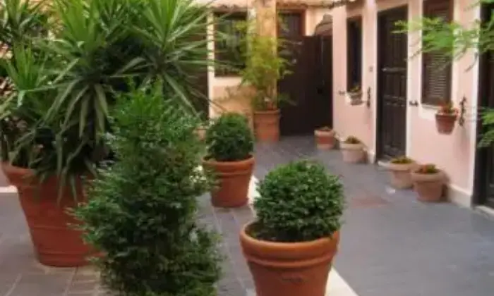 Rexer-Roma-Appartamento-luminoso-e-signorile-GIARDINO