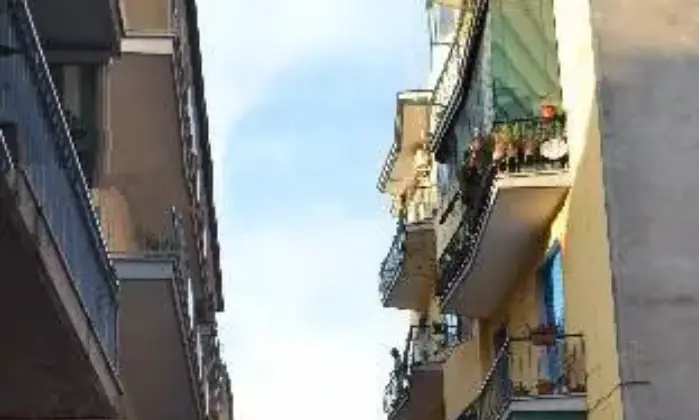 Rexer-Nola-Ampio-e-tranquillo-pentavano-ALTRO