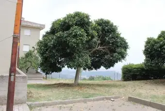 Rexer-Santa-Caterina-dello-Ionio-Appartamento-in-affitto-ALTRO