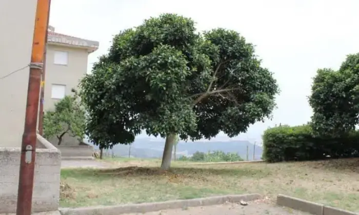 Rexer-Santa-Caterina-dello-Ionio-Appartamento-in-affitto-ALTRO