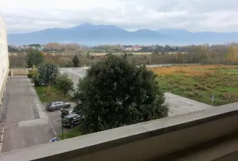 Rexer-Pisa-Appartamento-ZONA-CISANELLOISOLA-VERDE-ALTRO