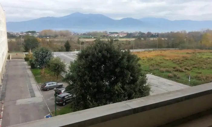 Rexer-Pisa-Appartamento-ZONA-CISANELLOISOLA-VERDE-ALTRO