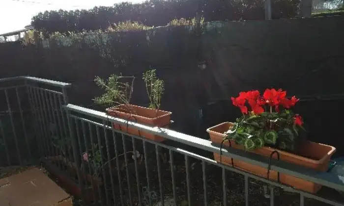 Rexer-Gaeta-Bungalow-con-giardino-a-fontania-gaeta-ALTRO
