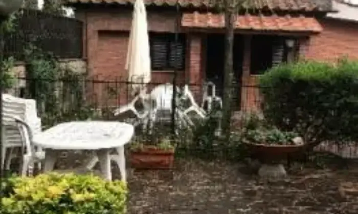 Rexer-Roma-Affitto-di-casa-indipendente-in-via-Cassia-Tomba-di-Nerone-Roma-GIARDINO