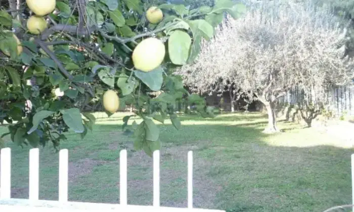 Rexer-Sanremo-Quadrilocale-zona-Foce-GIARDINO