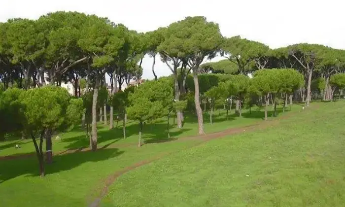 Rexer-Roma-APPARTAMENTO-mq-GEMELLI-CRISTO-RE-IDI-con-WiFi-ALTRO